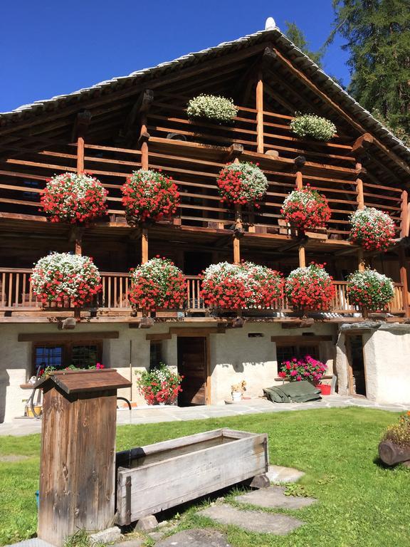 Wongade Gressoney-la-Trinité Exterior foto