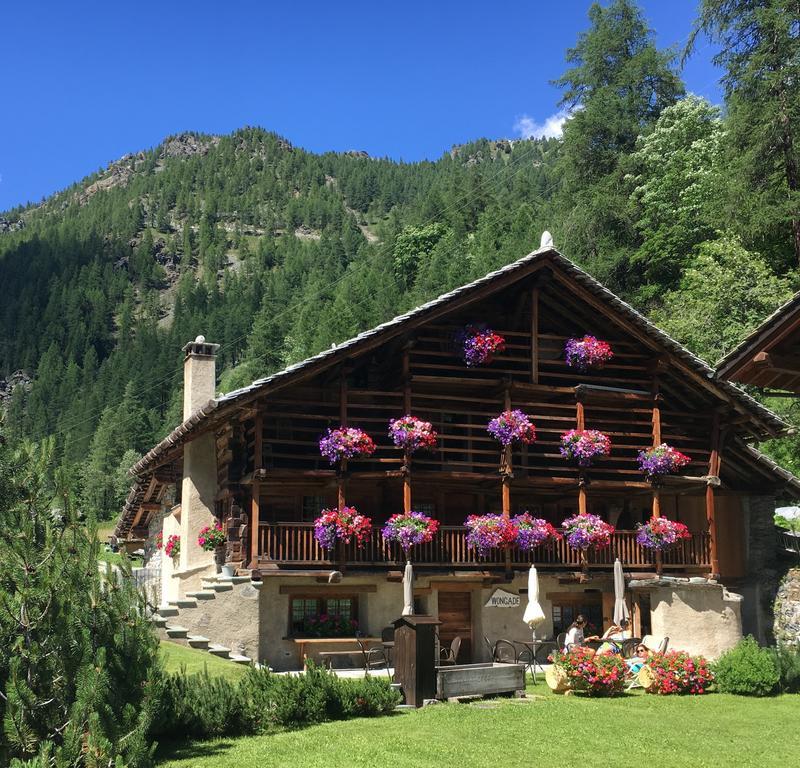 Wongade Gressoney-la-Trinité Exterior foto